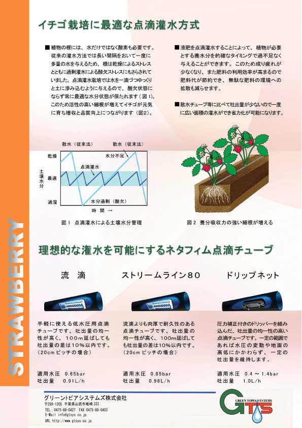 ＧＴＳいちご点滴灌水栽培システムの紹介/グリーントピアシステムズ