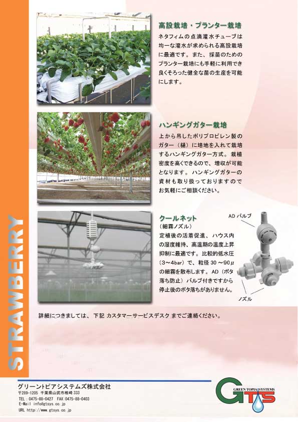 ＧＴＳいちご点滴灌水栽培システムの紹介/グリーントピアシステムズ